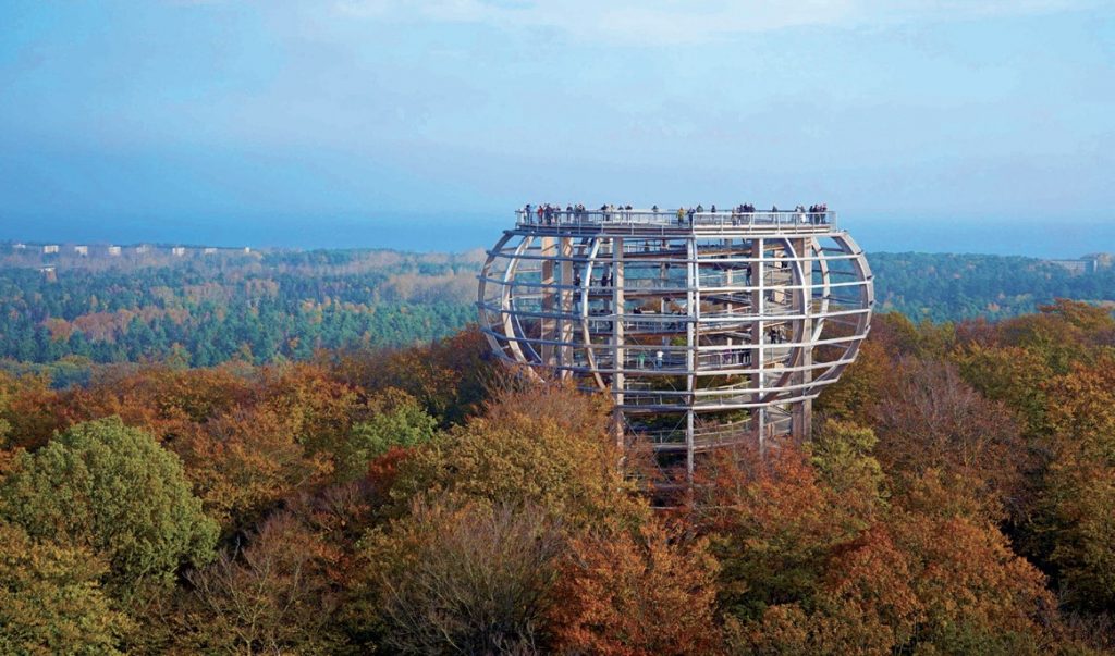 Die Aussichtsplattform „Adlerhorst“ bietet einen tollen Ausblick über den bunten Herbstwald. - Foto: Naturerbe Zentrum Rügen